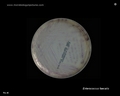 enterococcus faecalis